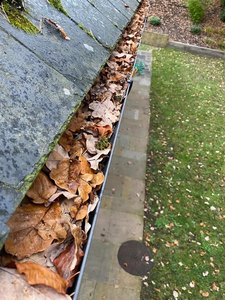 Gutter clearing service with professional equipment in Surrey