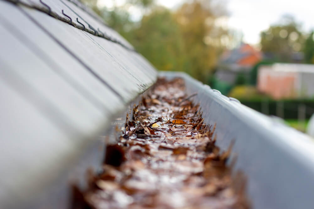 Save Money By Getting Your Rain Gutters Cleaned!